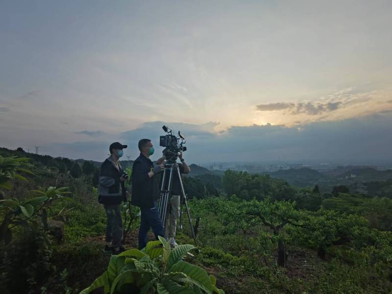 创意破圈！呈贡区电商产品宣传视频用故事化叙事引爆流量