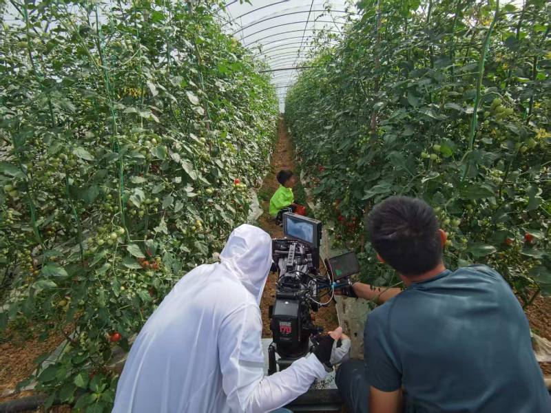 呈贡区产品宣传视频拍摄公司进阶指南，助力品牌抢占传播高地